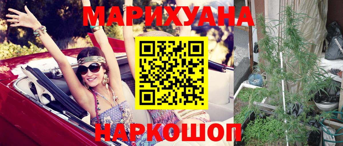 Бошки Шишки планчик Новый Уренгой